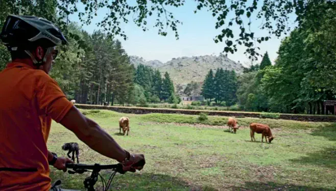 Parc National De Geres