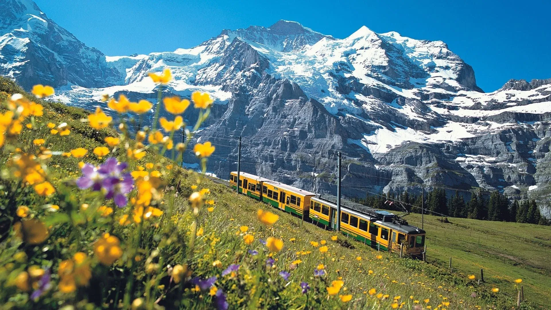 Chemin De Fer Jungfraujoch - Suisse