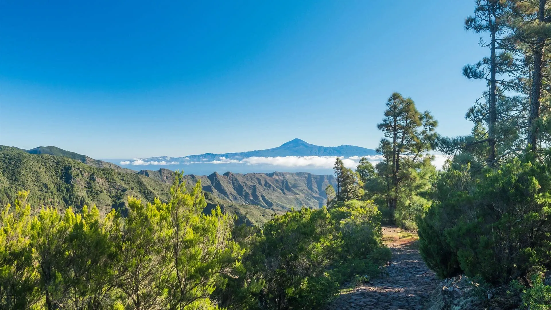 Chemin De Mirador De Roque Agando A La Laja Sur La Gomera C Adobe Stock - Espagne © Adobe Stock