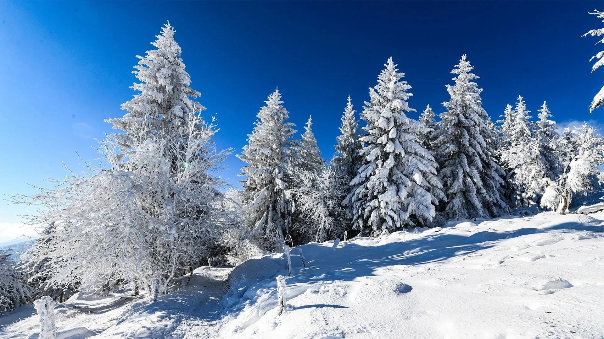 Chemin Entre Le Lac Du Forlet Et Gazon De Faing C Christophe Lagocki Adobe Stock.jpeg - France
