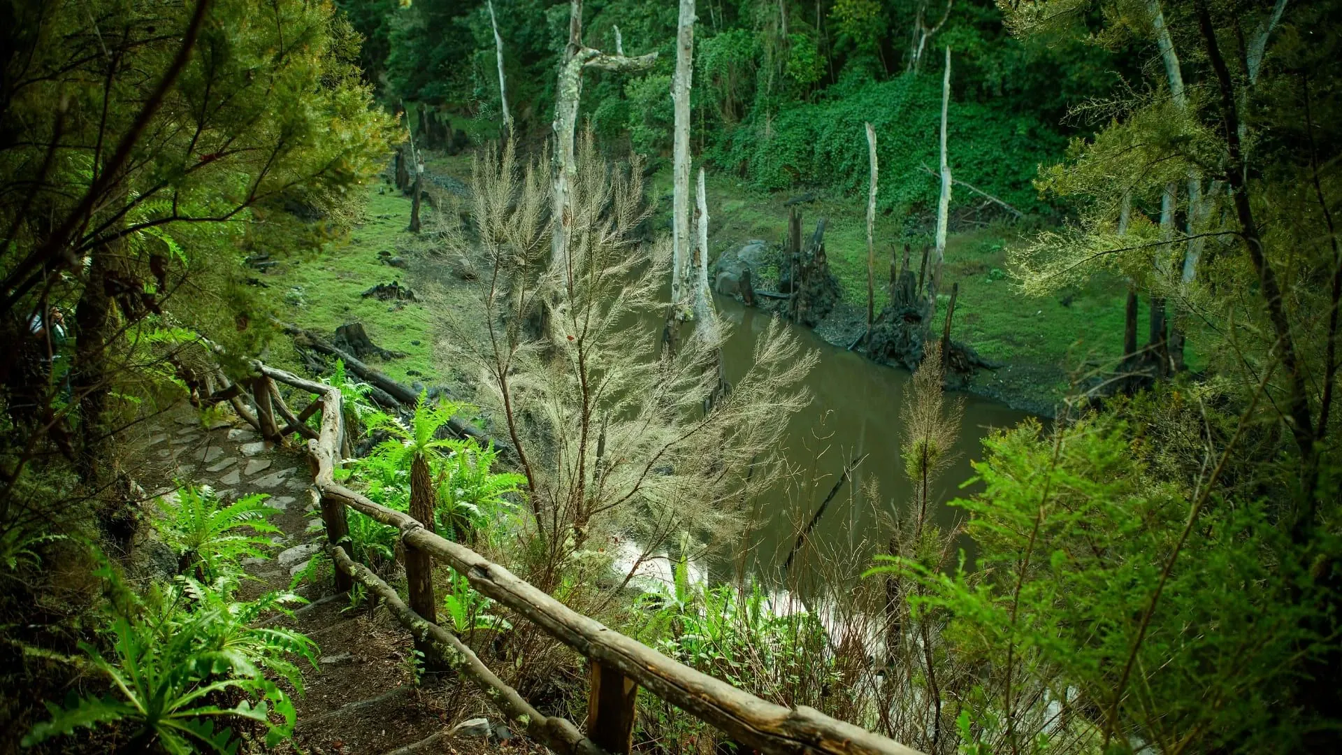 Chemin Gomera - Espagne