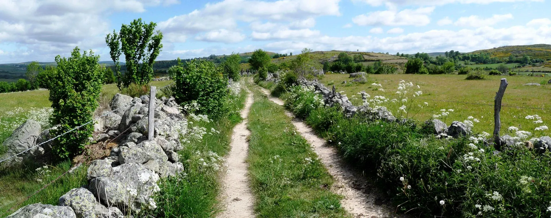 Chemin Randonnee Aubrac - France