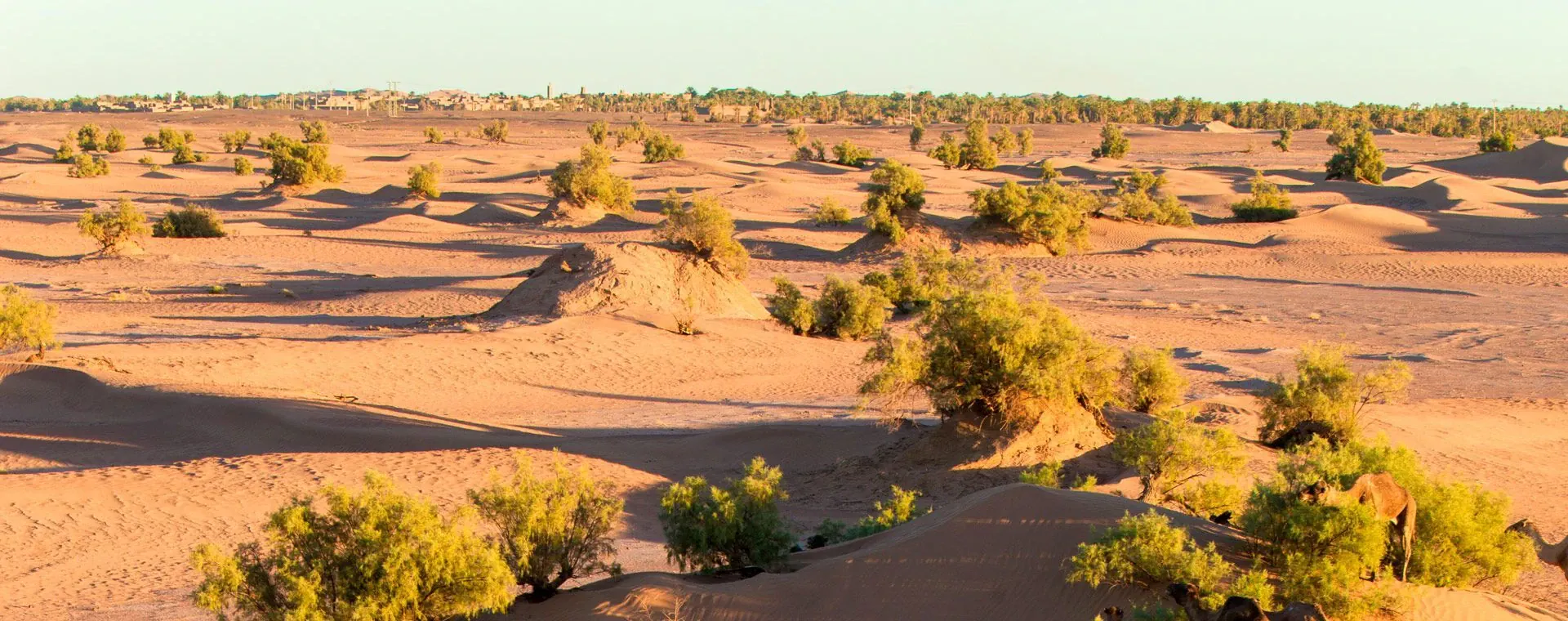Lac paisible du Mecklembourg - Allemagne © Anne-Marie Billault
