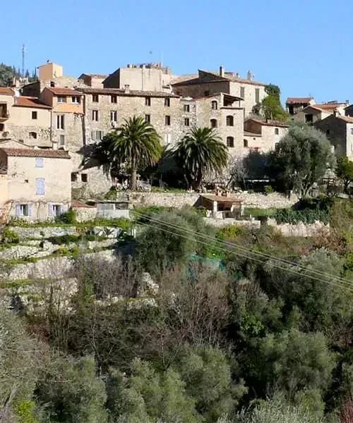 Village perché de Gorbio avec ses maisons en pierre et palmiers - Côte d'Azur - France