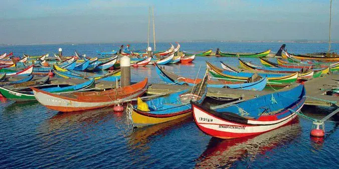 Peso da Régua - Vallée du Douro - Portugal