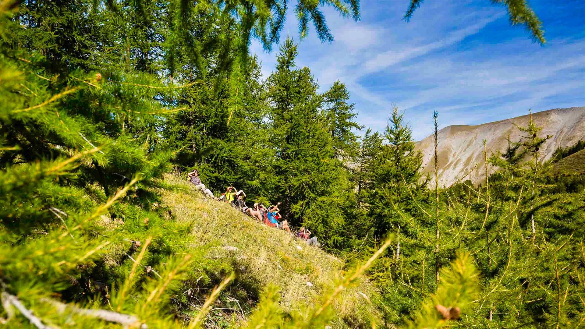 Pique-nique au Parc des Monts d'Ardèche - France
