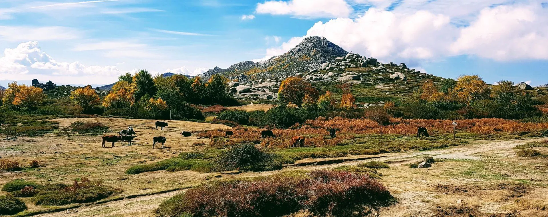 Plateau Cuscionu Corse - Corse - France