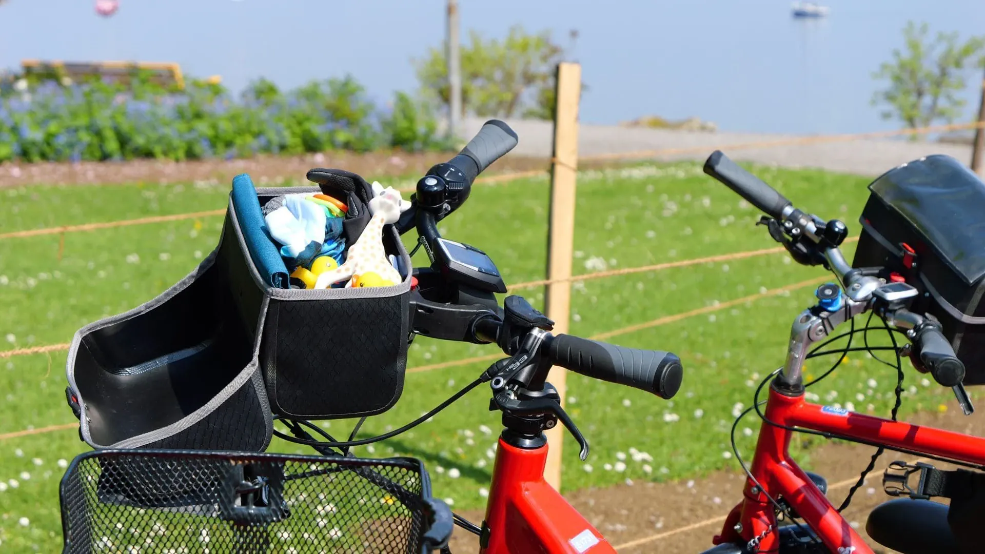 Pochette De Velo A Jouets C David Praire - Allemagne © David Praire