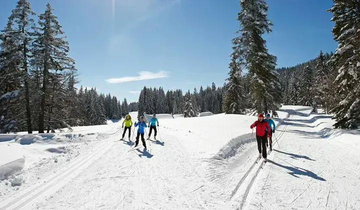 Aiguilles de Port-Coton - Belle-Île-en-Mer - France