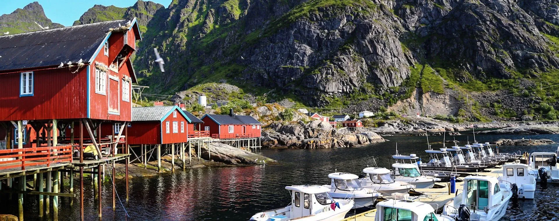 Port Navalo - Arzon - Golfe du Morbihan - France