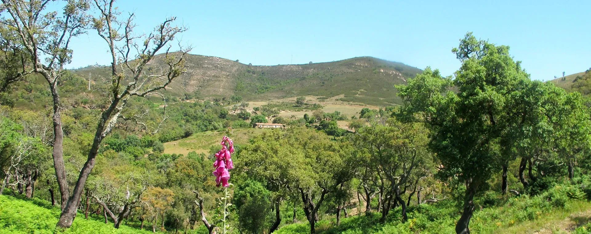 Port de Portofino - Ligurie - Italie - portofino-harbor-liguria-italy-3