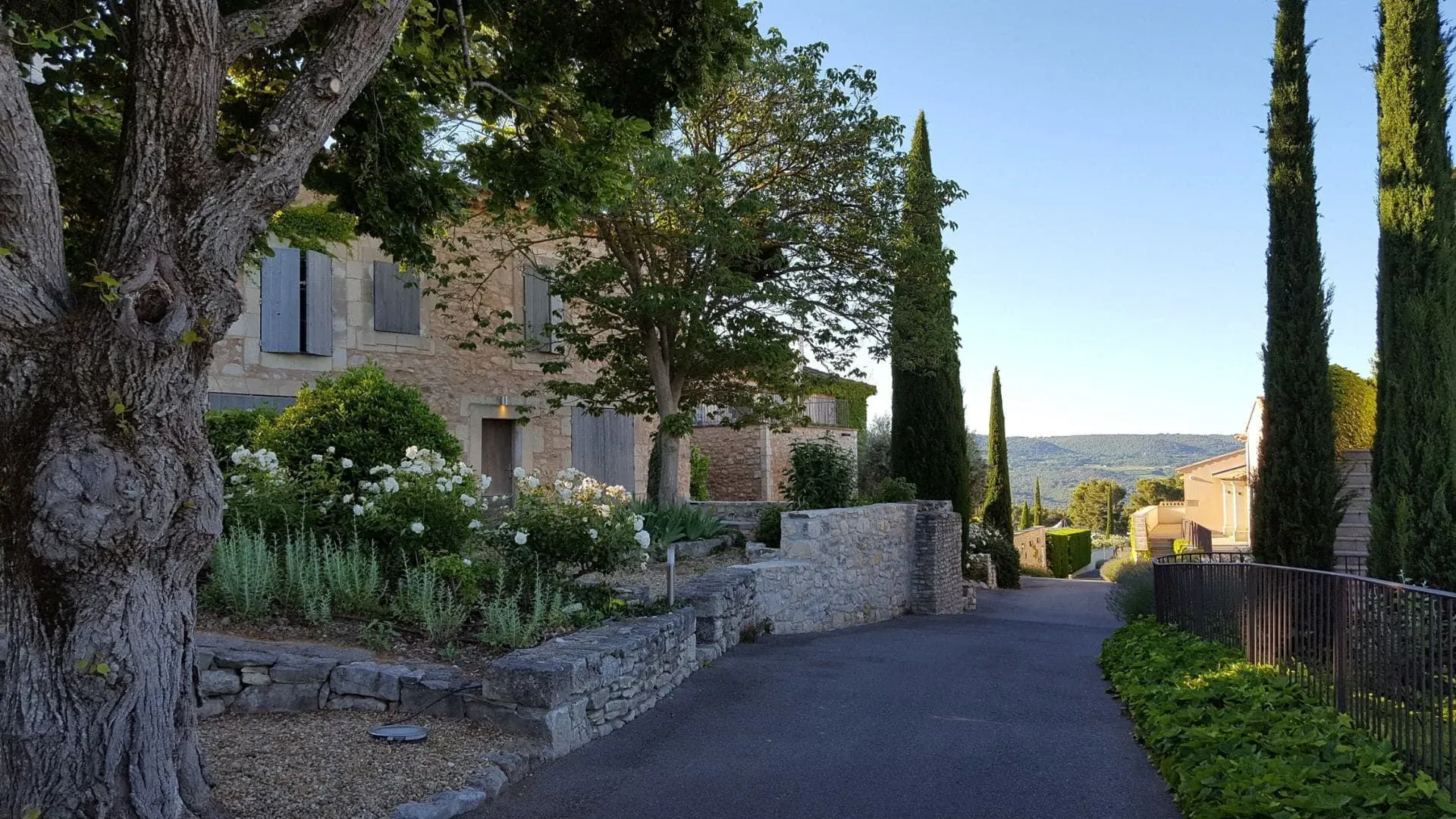 Marché provençal - Provence - France