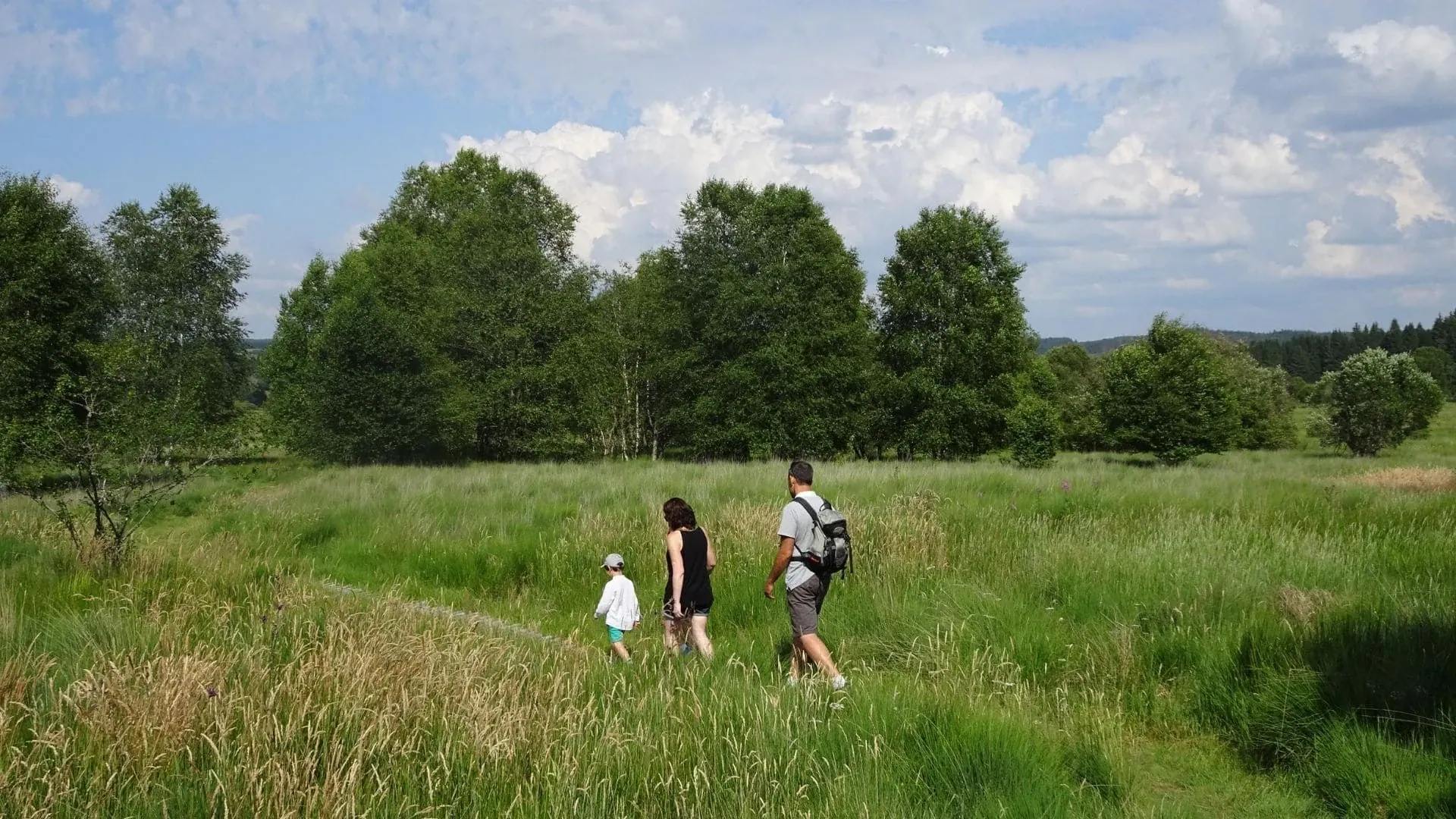 Perdrix blanche dans un refuge - Laponie - Suède