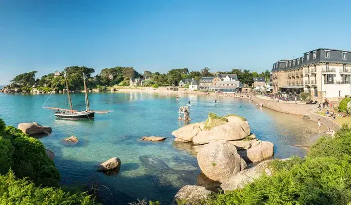 Perdrix blanche en Laponie - Finlande