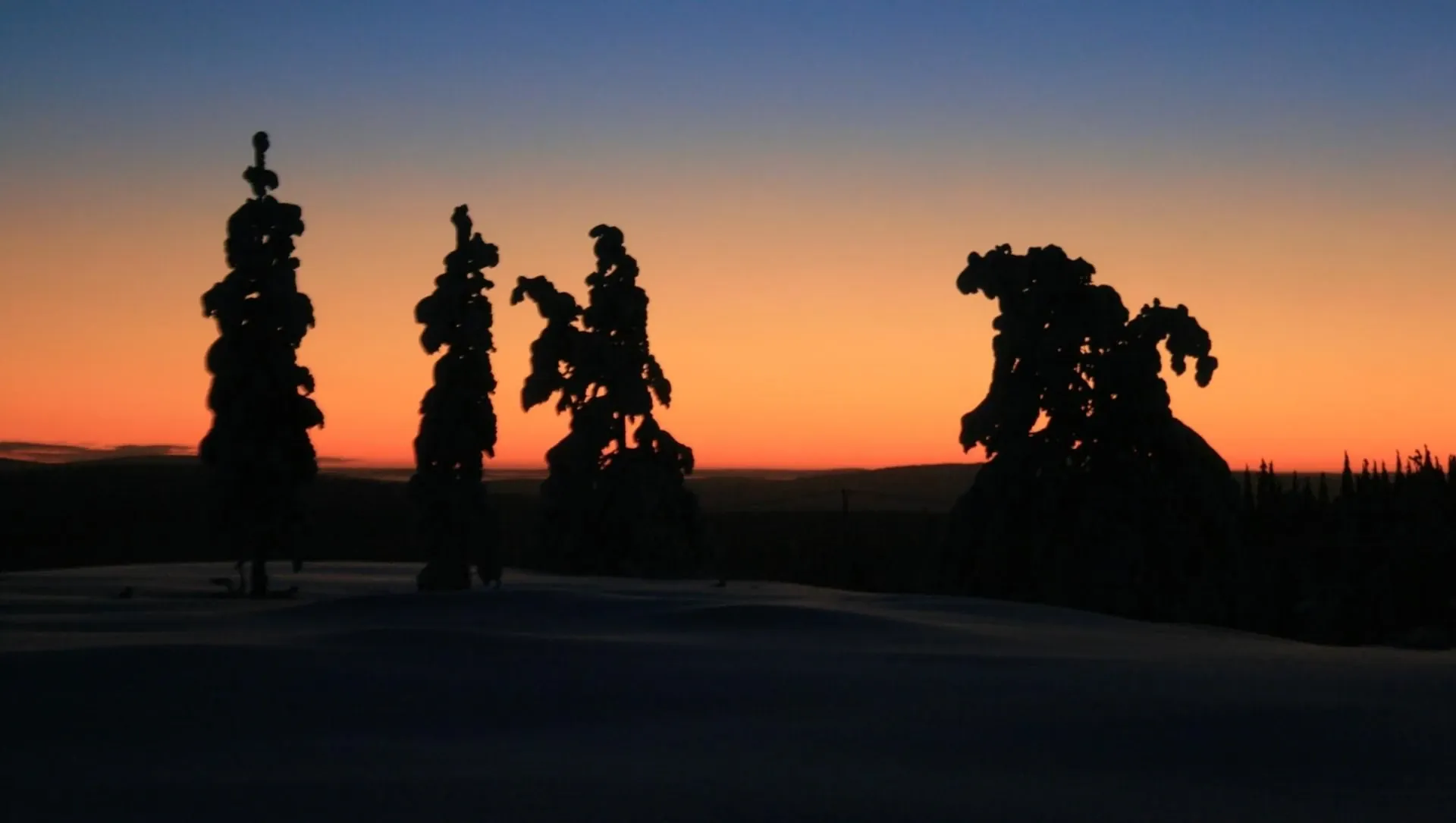 Signalétique perdrix des neiges - Kiilopää - Laponie - Finlande