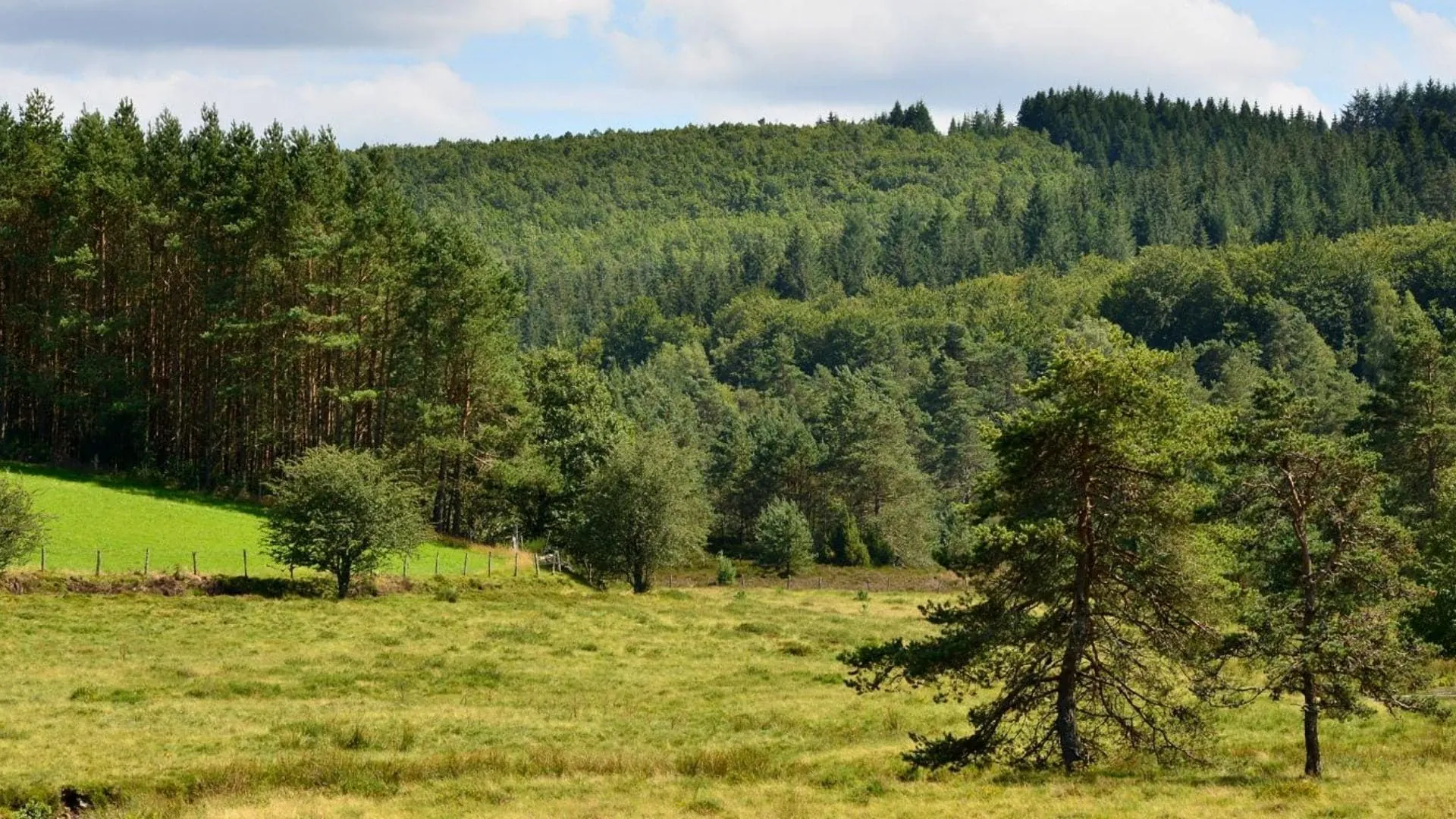 Paysage des Pouilles - Italie © Frank David
