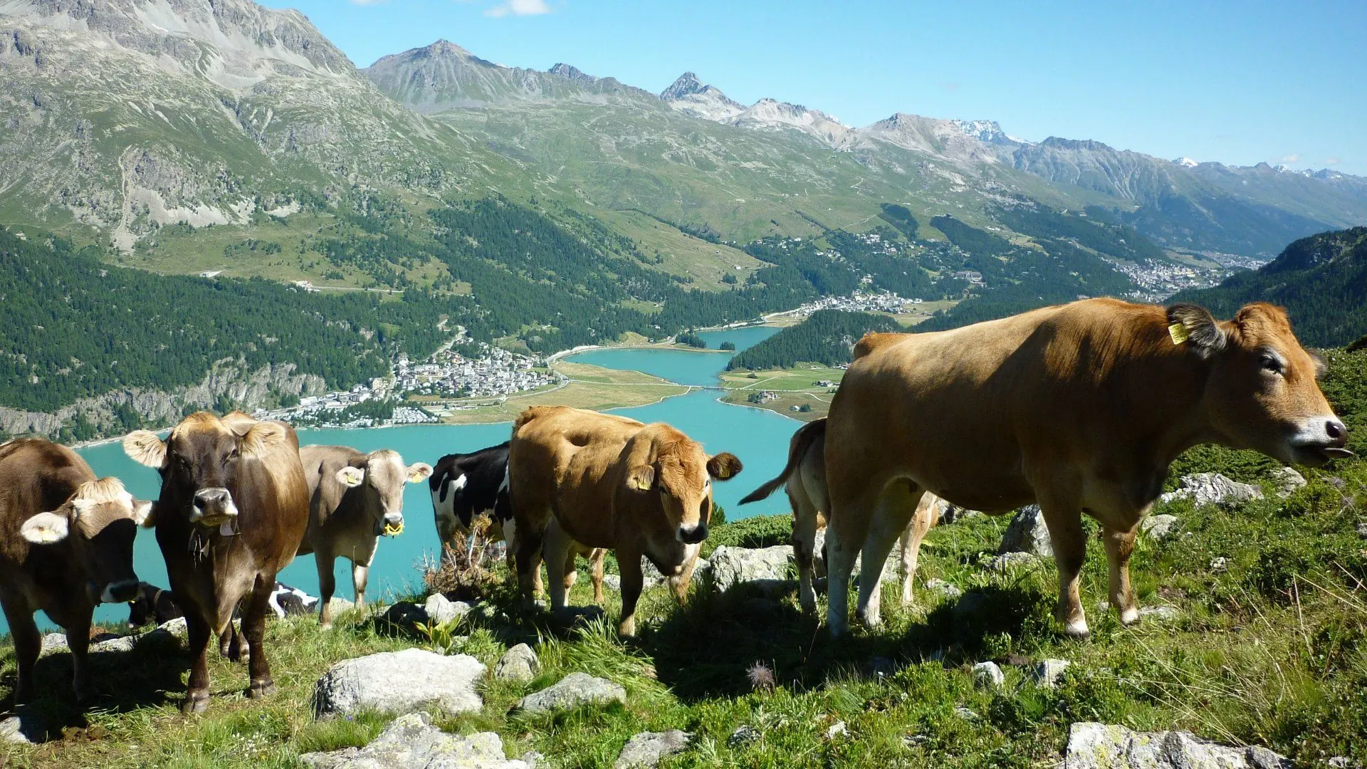 Monastère de Rajhrad - Moravie - Tchéquie