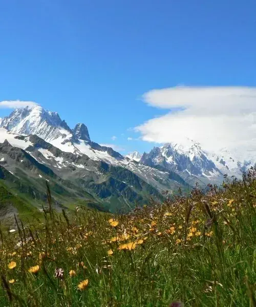 Refuge au col de la Balme face au Mont-Blanc - France