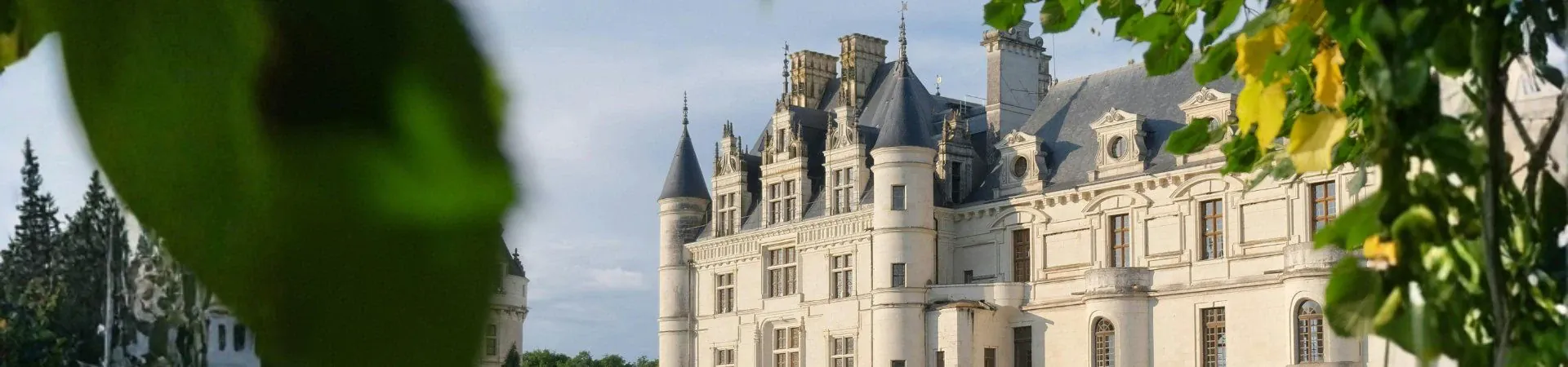 Chateau Renaissance encadre de feuillage - Val de Loire - France