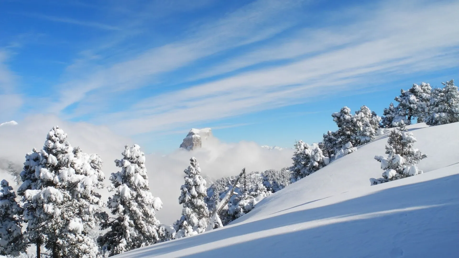 Reserve Des Hauts Plateaux Du Vercors Et Mt Aiguille C M. Offredi - Vercors - France