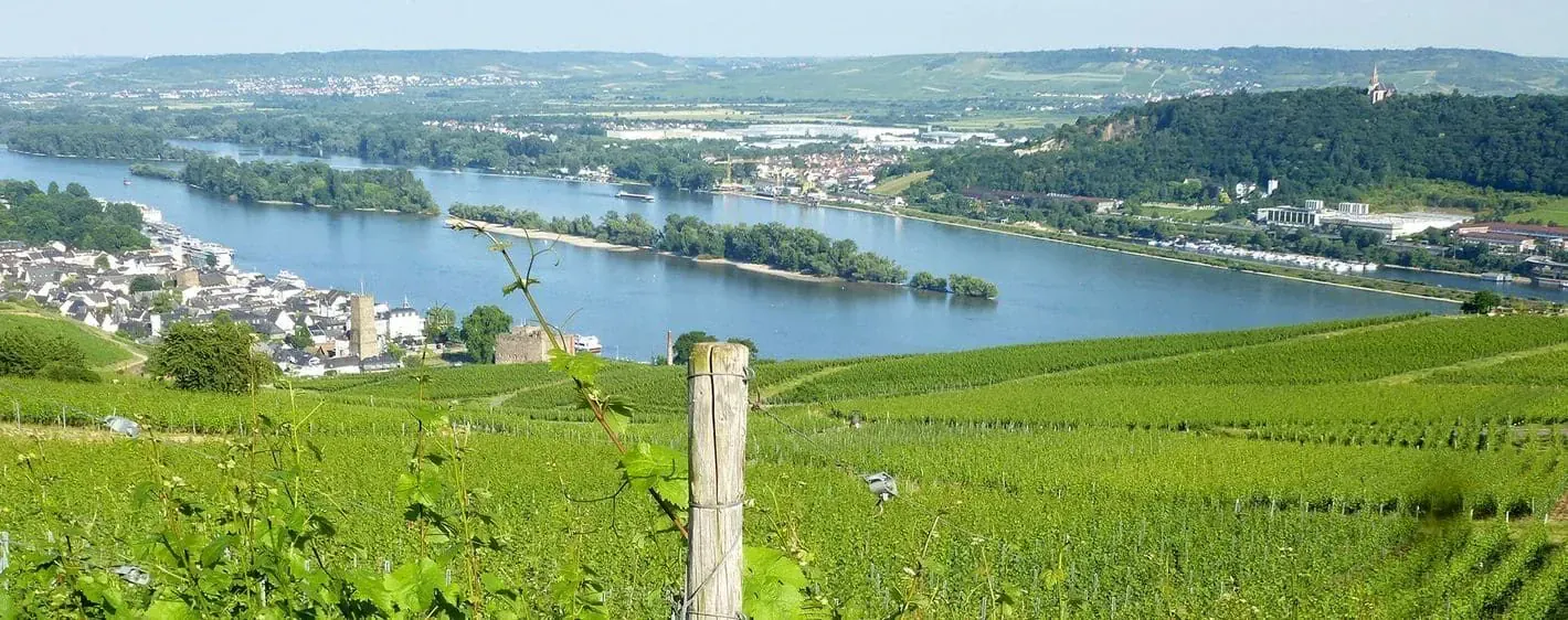 Piste cyclable du Rhin pres de Cologne - Allemagne