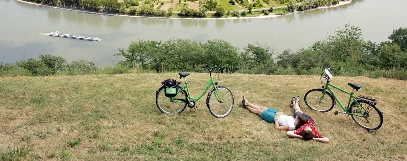 Piste cyclable du Rhin pres de Mayence - Allemagne