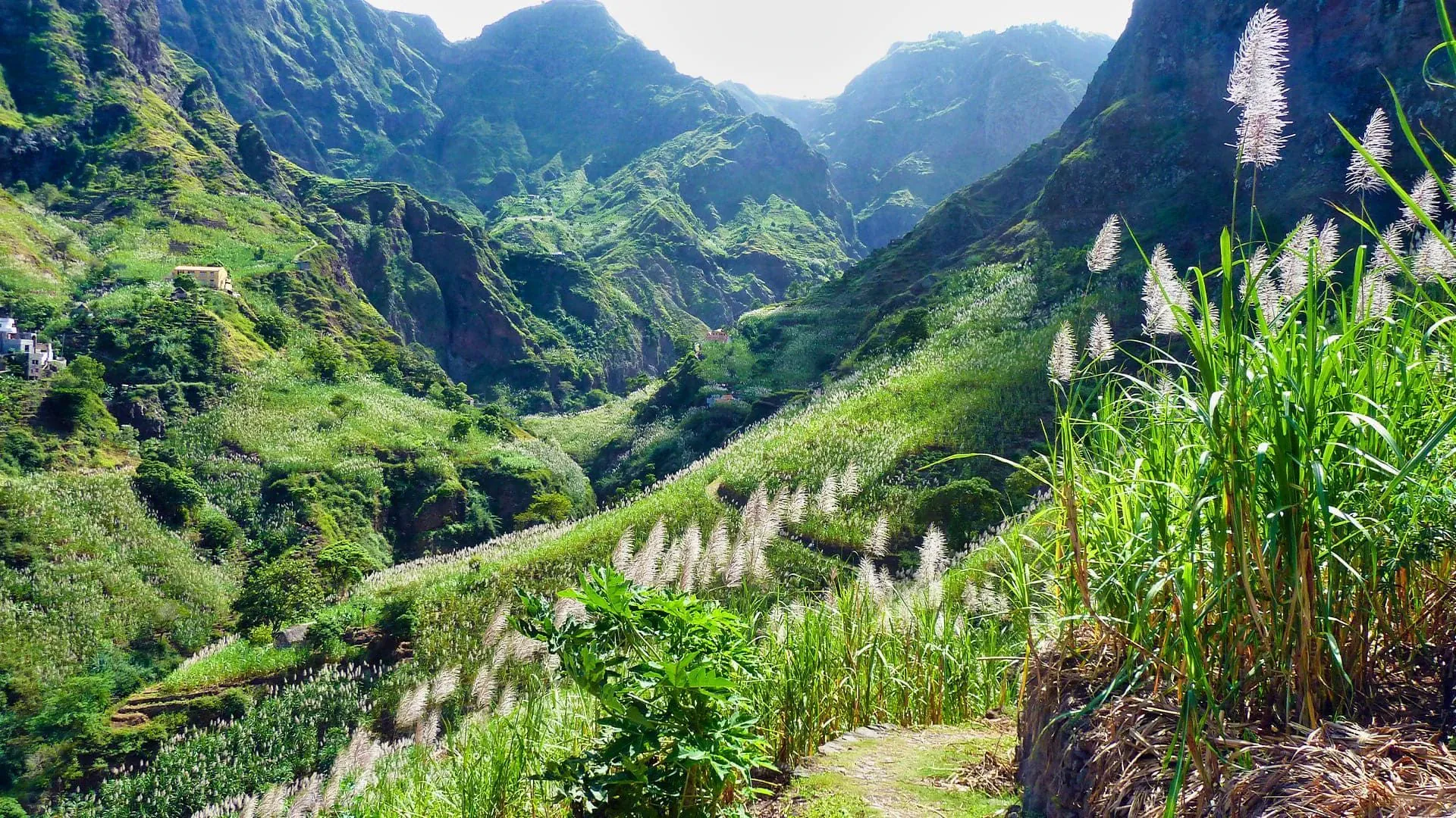 Ribeira de Janela - Madere - Portugal © David Praire