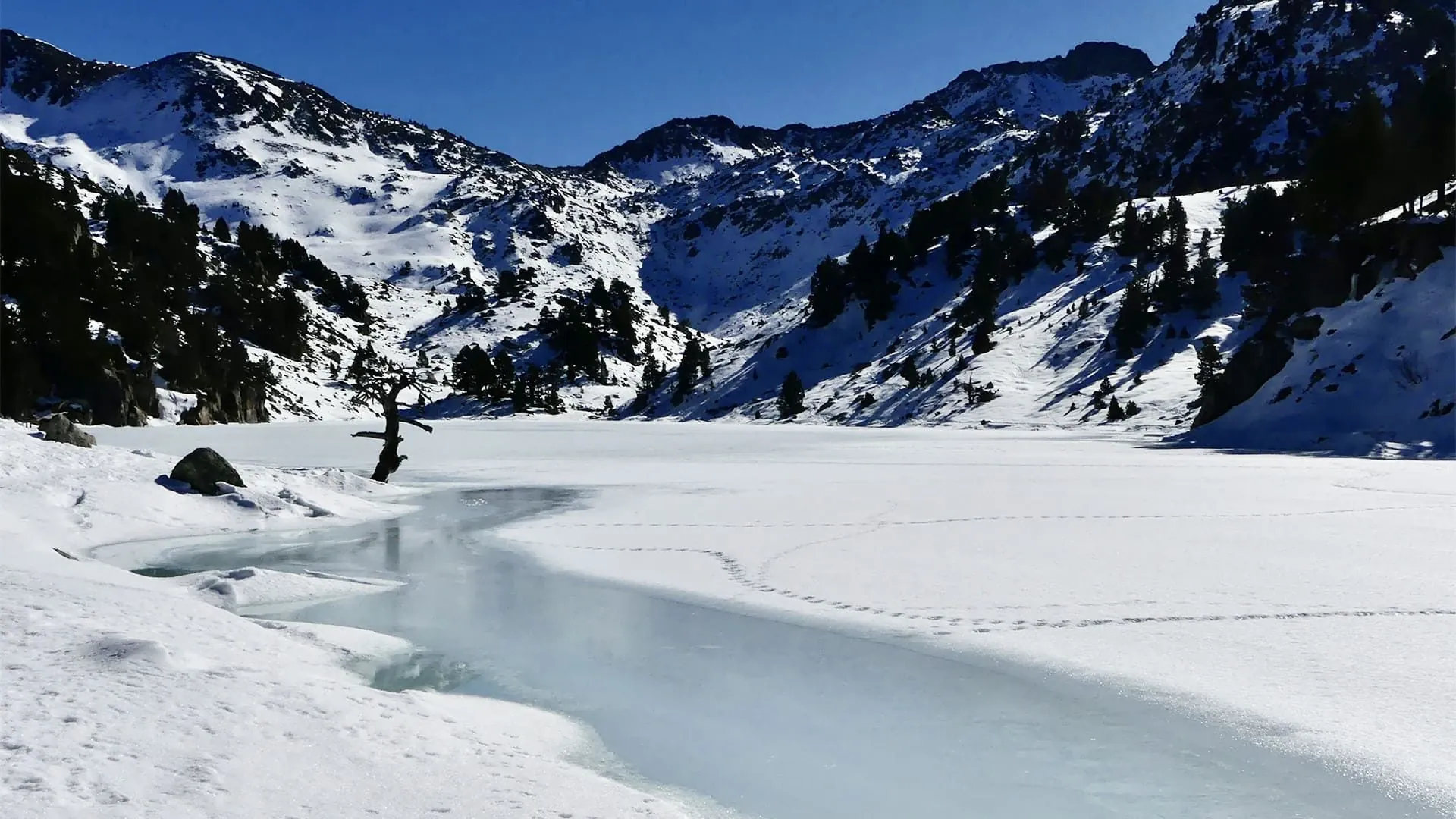 Riviere du Parc des Monts d Ardeche - France