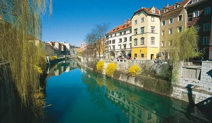 Riviere des Galets - Ile de la Reunion © Yvonne Toussaint
