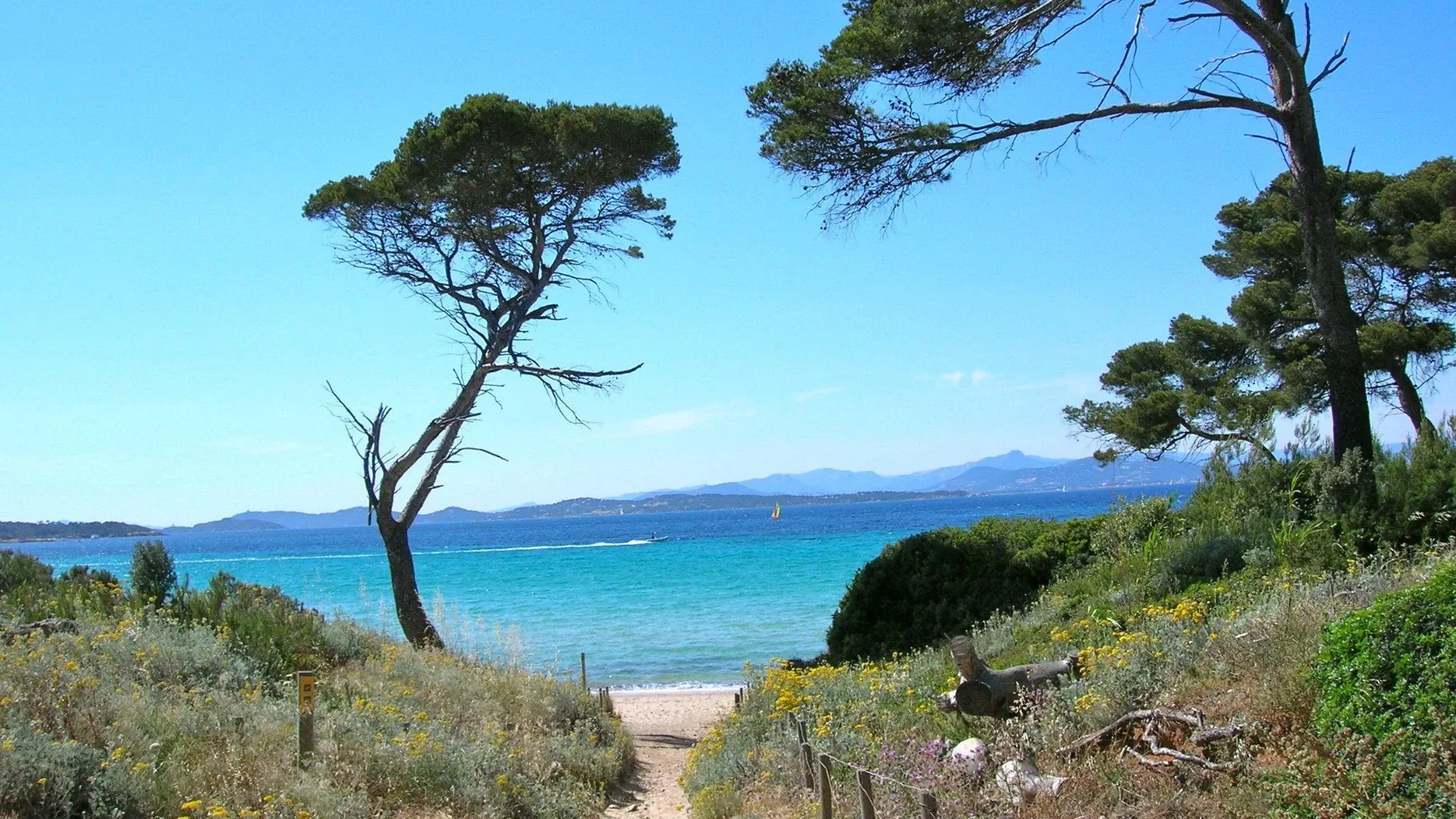 Côte rocheuse de l'île de Porquerolles - Var - France