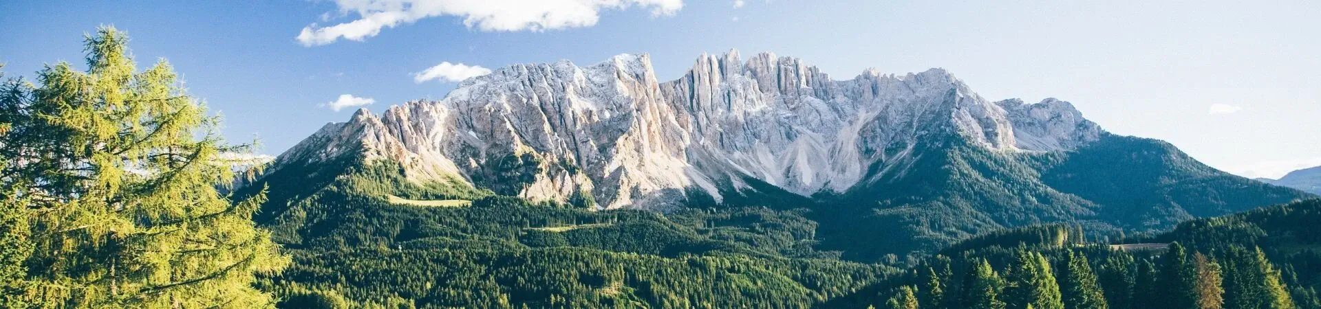 Sommets rocheux des Dolomites avec forets de coniferes - Tyrol - Autriche