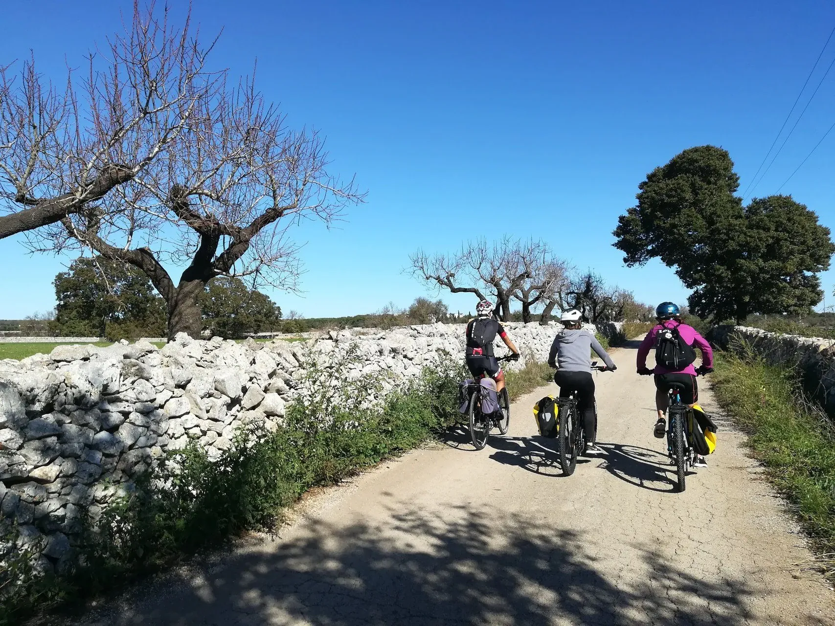Paysage vallonne du Chianti - Toscane - Italie