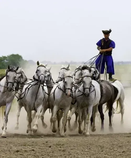 Amphithéâtre romain de Pula - Istrie - Croatie