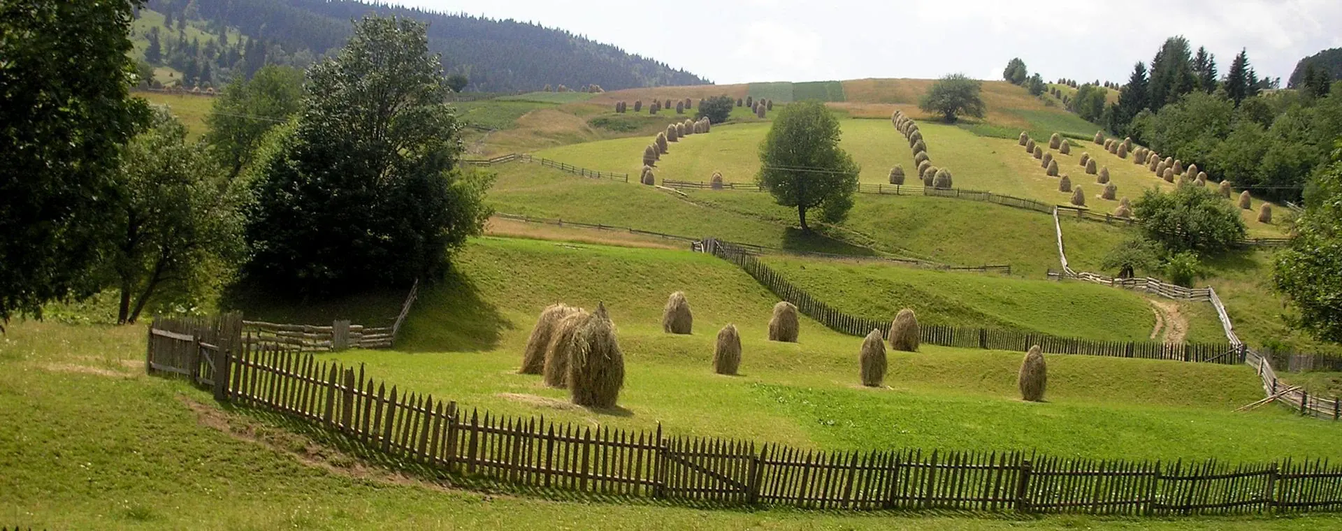 Port de Rotterdam - Pays-Bas