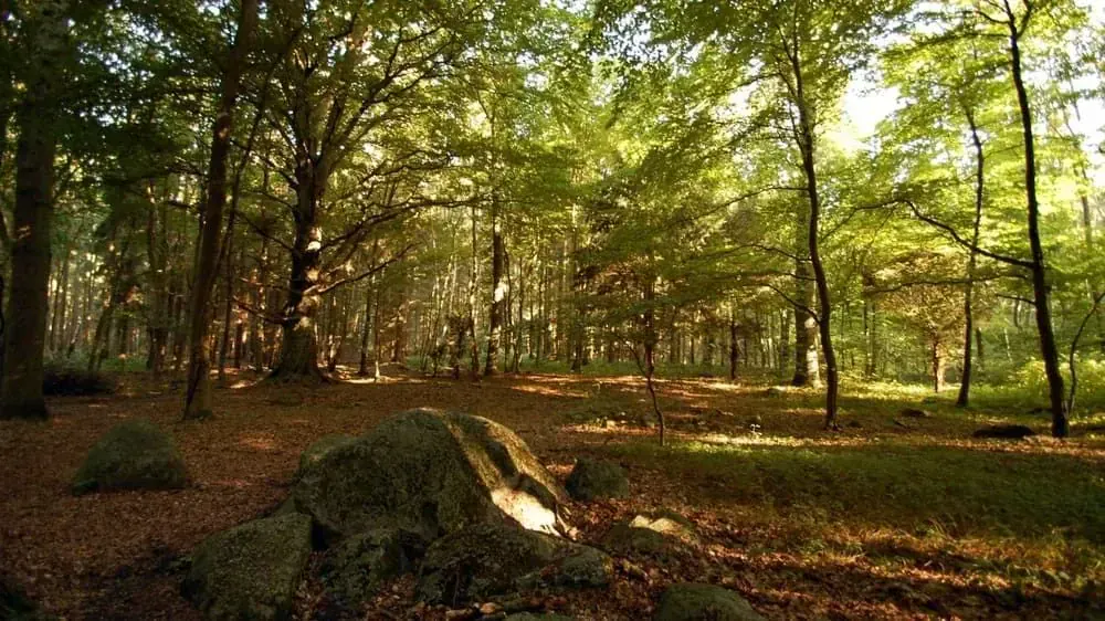 Ile de Rugen - Mer Baltique - Allemagne