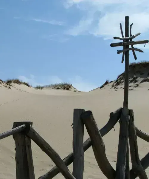 Dunes de sable - Lituanie