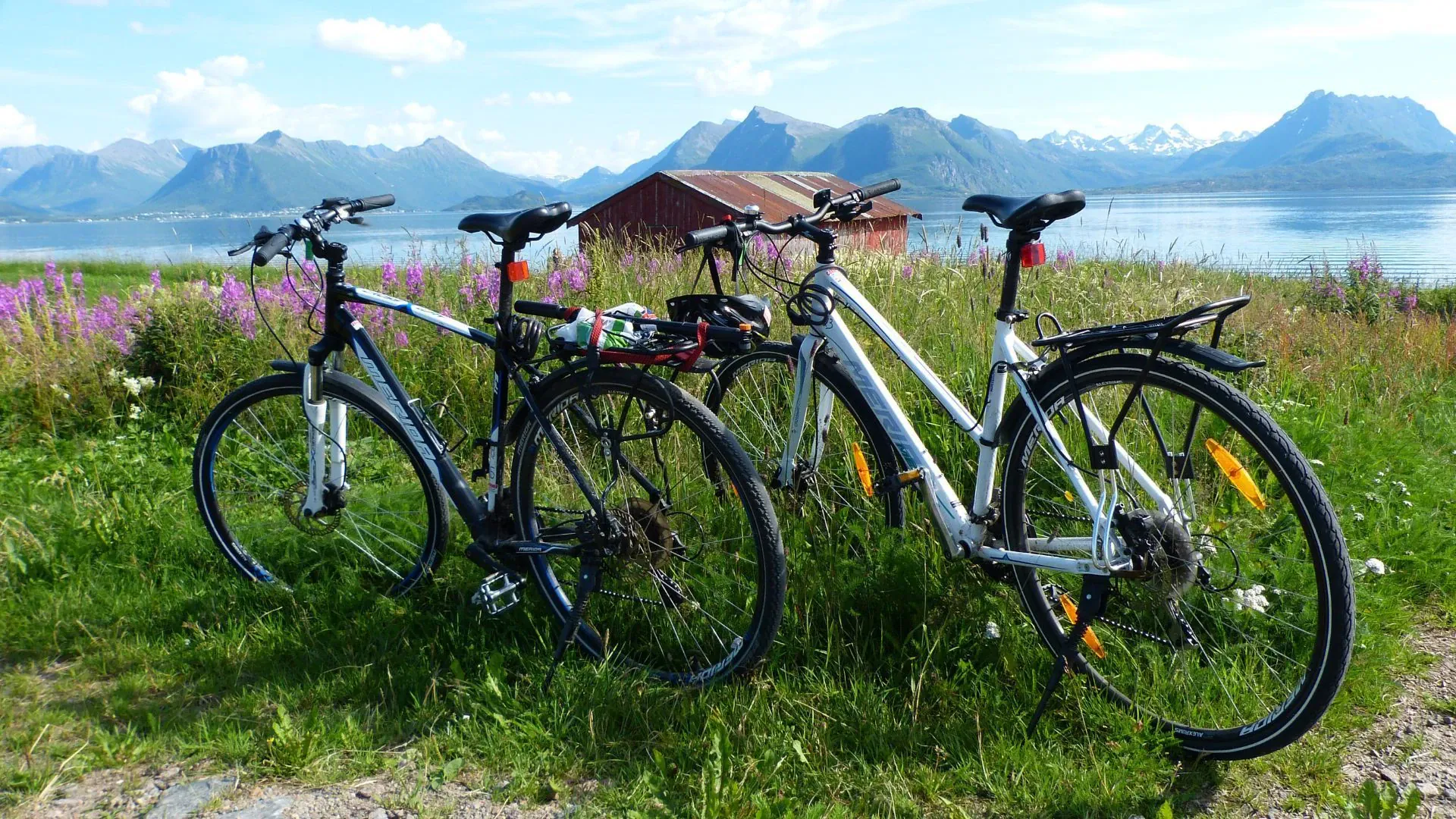 Route pittoresque à vélo - Côte arctique - Norvège