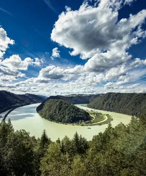 Méandre de Schlögener Schlinge - Danube - Autriche