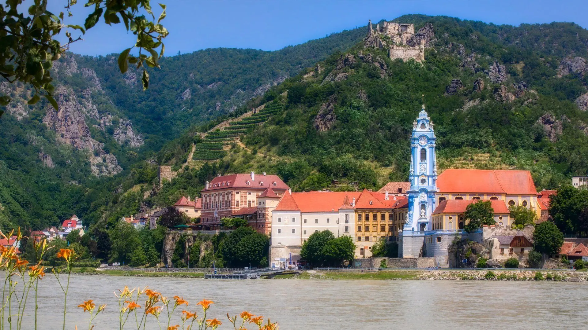 Dunes de Schoorlse - Hollande du Nord - Pays-Bas