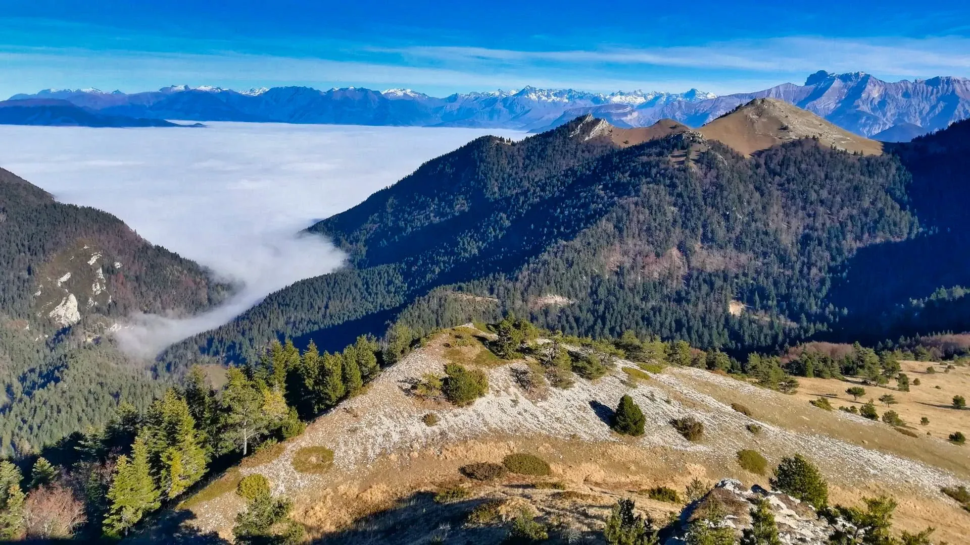 Mer De Nuages Depuis Le Vercors C Lionel Laurent - Vercors - France