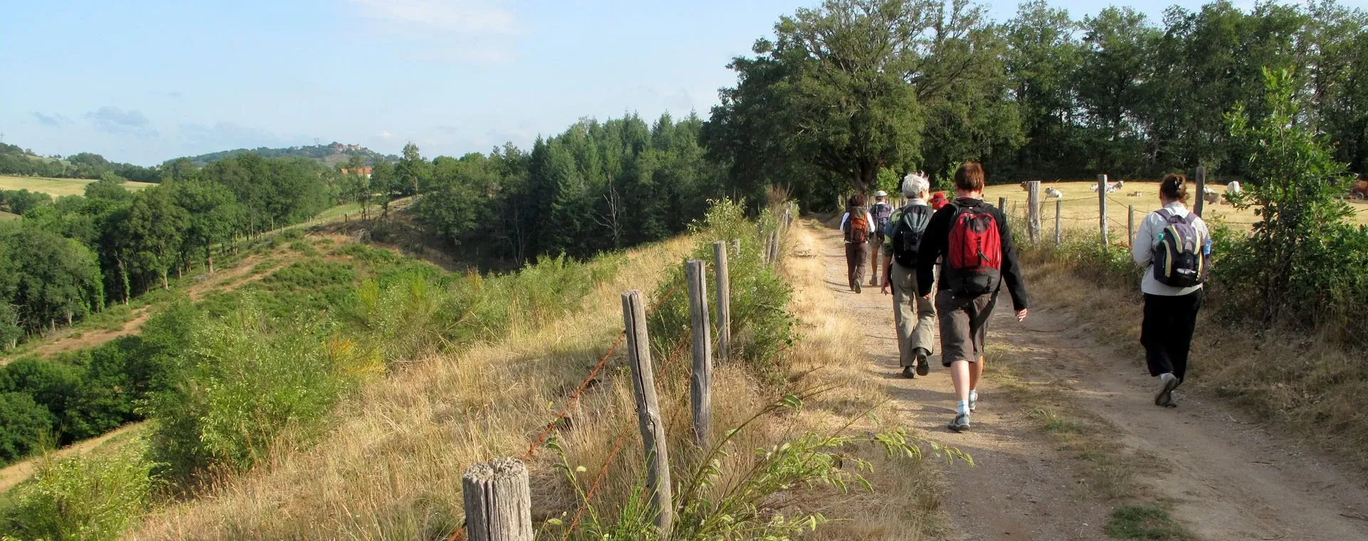 Randonnee raquettes en liberte dans le Jura - France