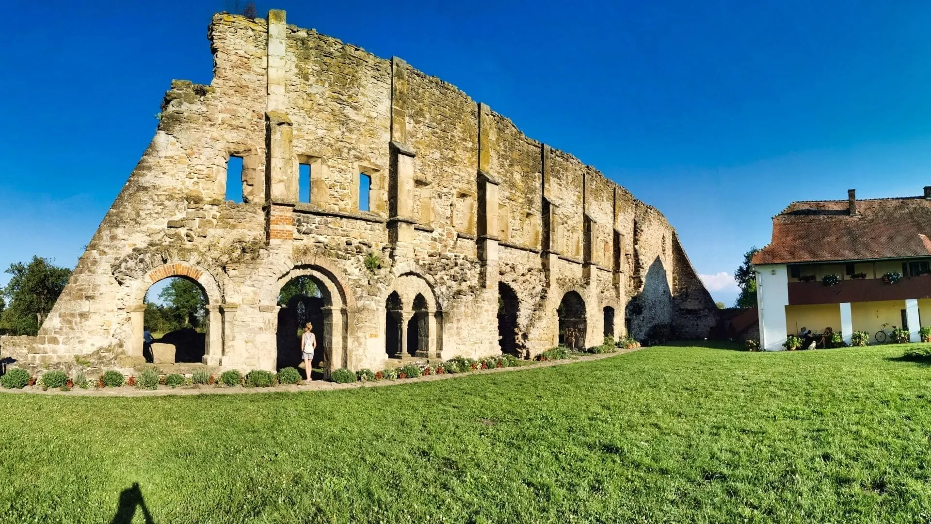 Abbaye de Sénanque et champs de lavande - Luberon - France