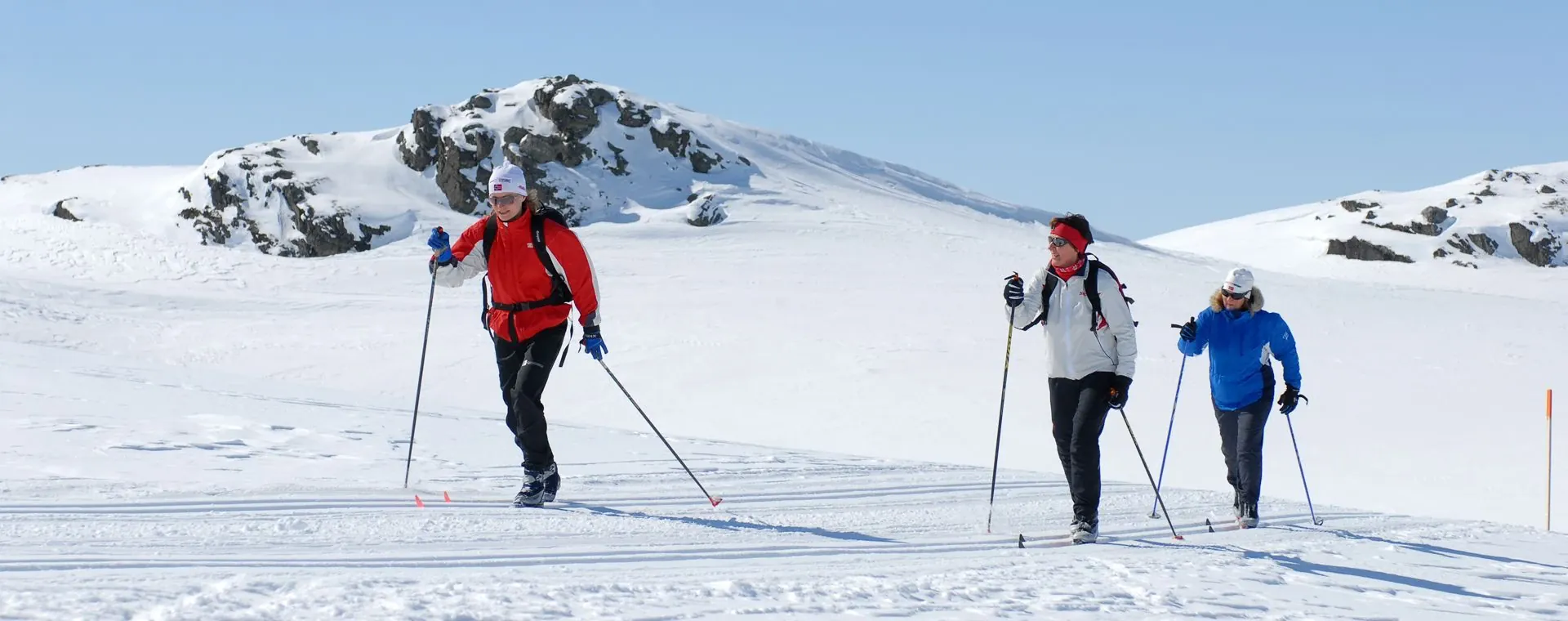 Ski de fond skating - Parc du Vercors - France
