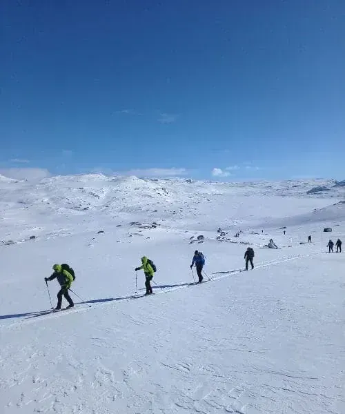 Groupe de ski de randonnée sur plateau enneigé - Norvège © Mathieu Offredi
