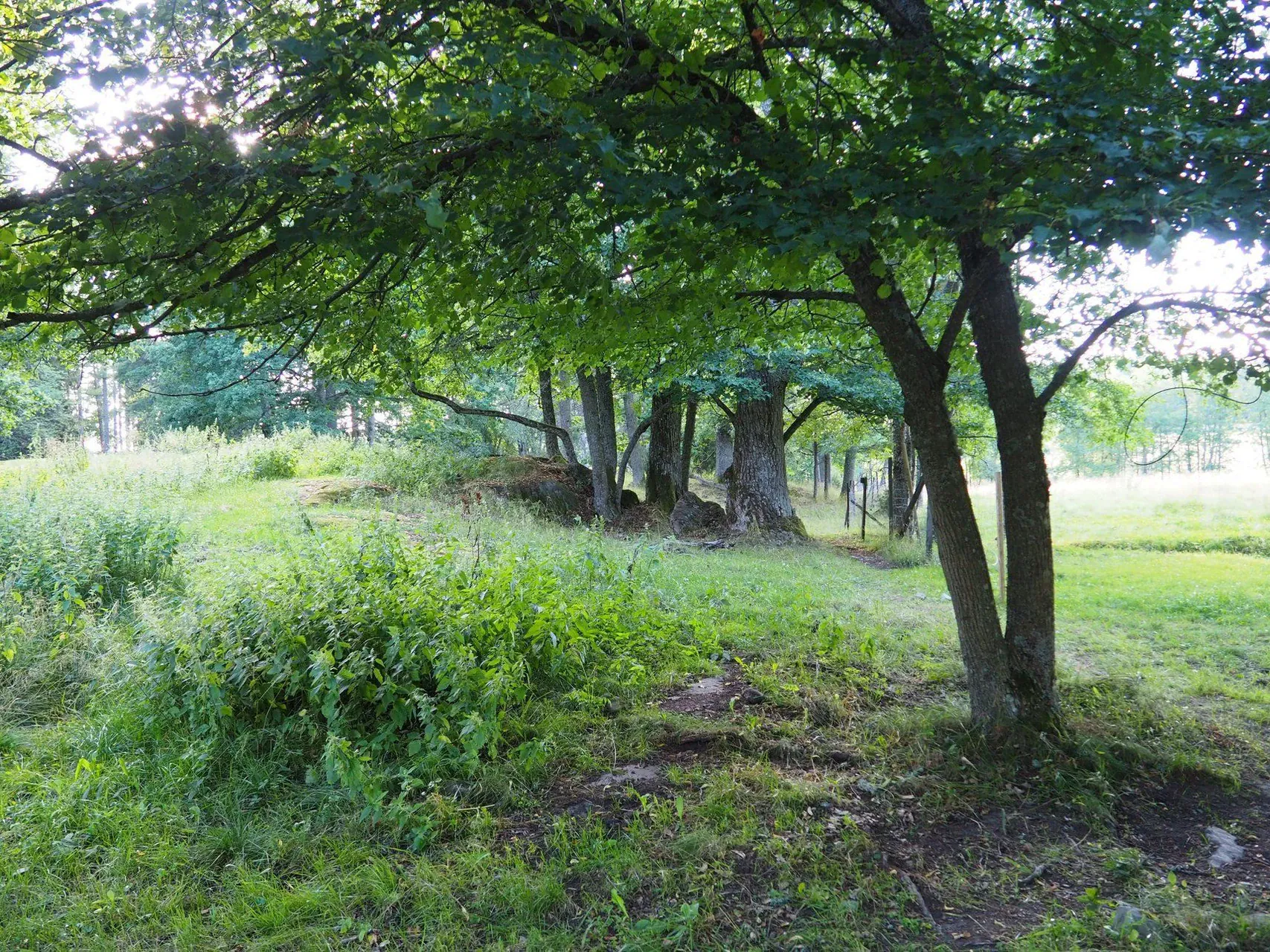 Skieur pres du refuge Leirvassbu - Jotunheimen - Norvege