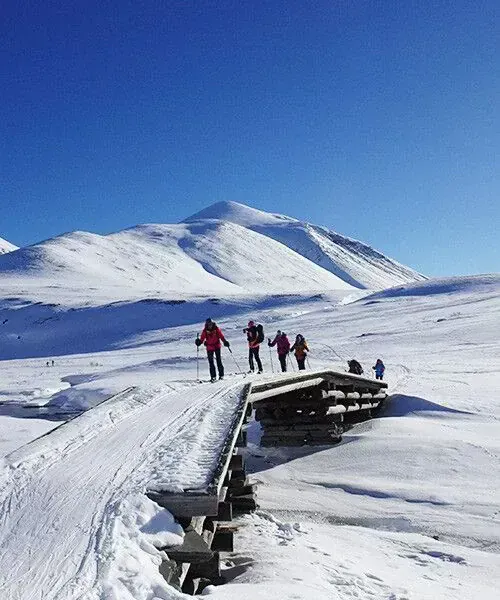 Skieurs traversant un pont dans le Rondane - Norvège © Cavallini