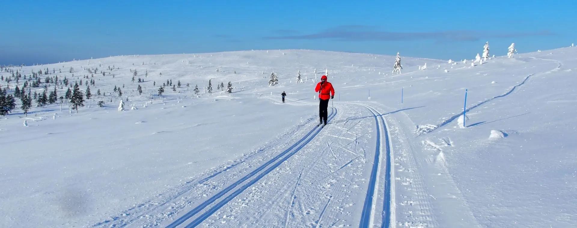 Skieur Fond Saariselka Laponie Finlandaise - Laponie - Finlande