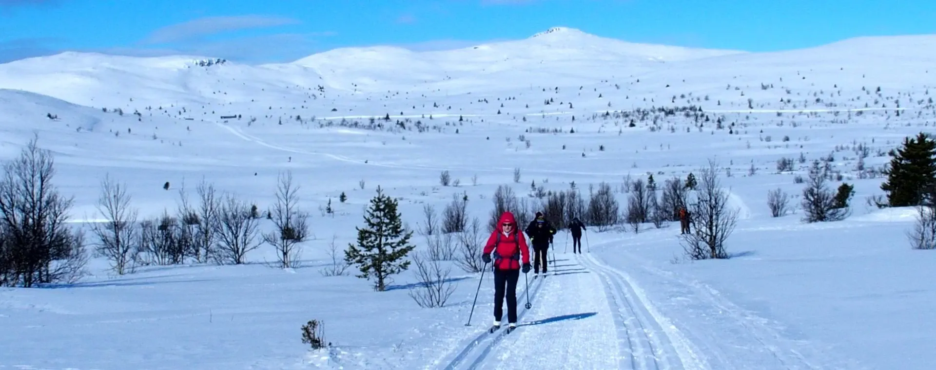 Skieurs Autour Venabu Scandinavie - Norvège