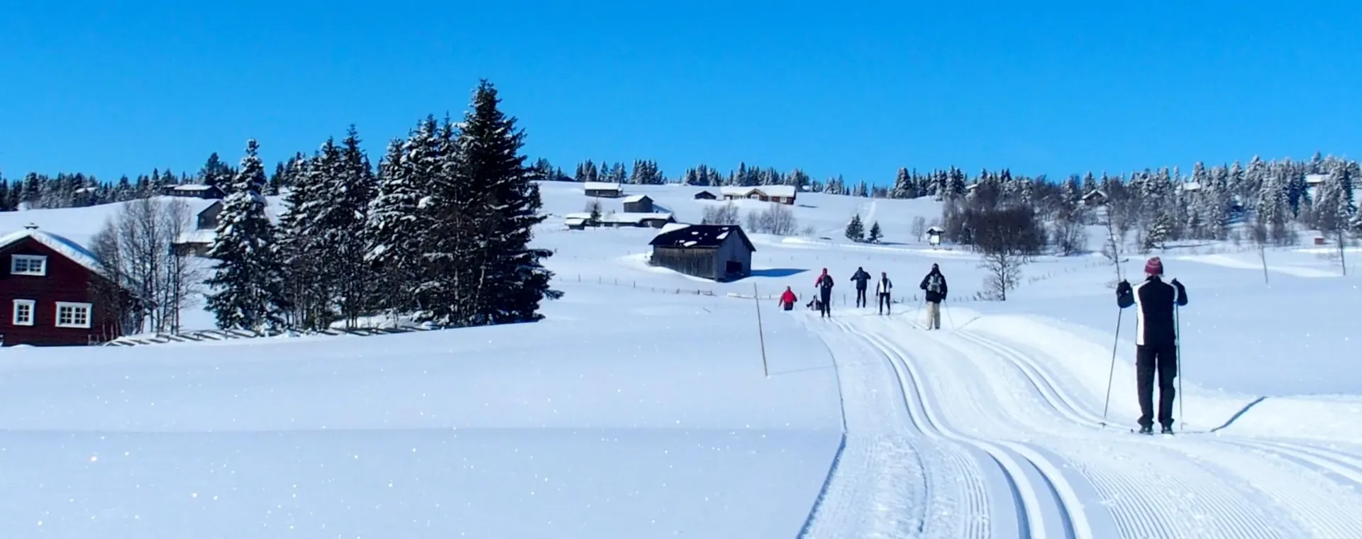 Skieurs De Fond Golsfjellet - Norvège