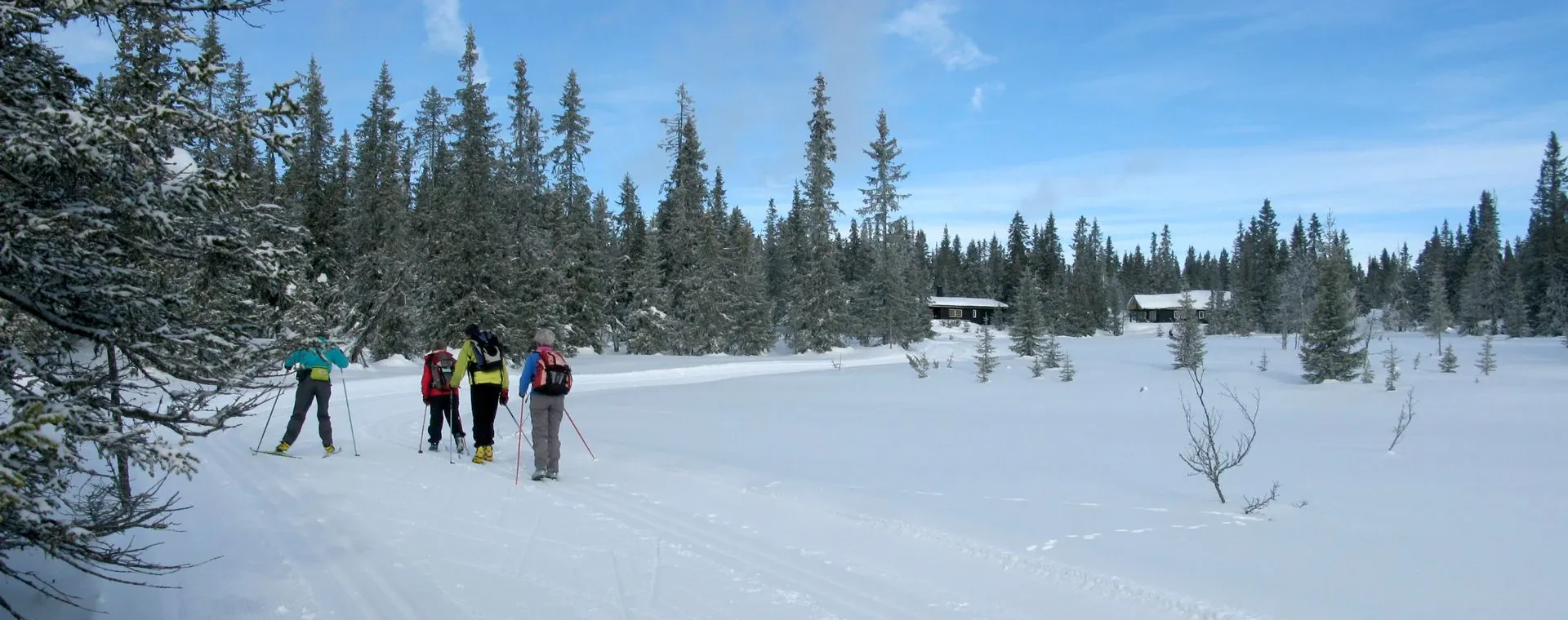 Skieurs De Fond Sjusjoen - Norvège
